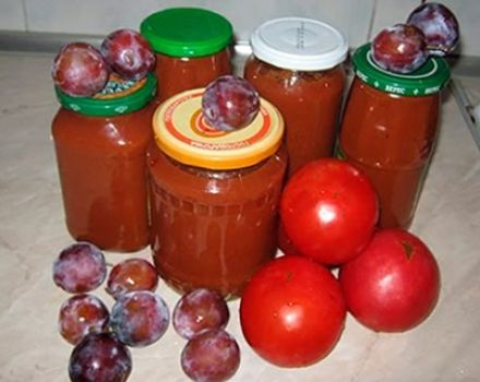 Recipes for ketchup from plums for the winter at home you will lick your fingers