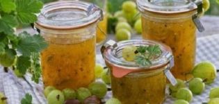 TOP 5 recipes for cooking gooseberries with sugar for the winter without cooking