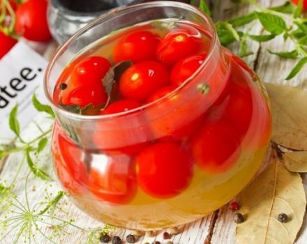 TOP 10 resipi lazat untuk acar tomato ceri untuk musim sejuk anda akan menjilat jari anda