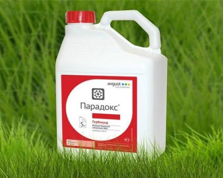 Instructions pour l'utilisation de l'herbicide Paradox, taux de consommation et analogues