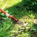 How to effectively control weeds, a description of the best drugs and folk remedies