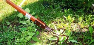 How to effectively control weeds, a description of the best drugs and folk remedies