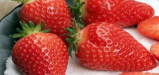 Descripción de las fresas Gariguetta, reglas de plantación y cuidado.