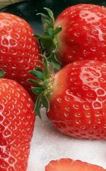 Penerangan mengenai peraturan strawberi, penanaman dan penjagaan Gariguetta