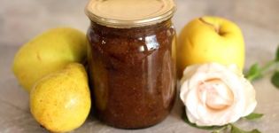 TOP 6 simple recipes for making apple and pear jam for the winter