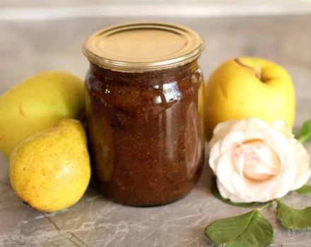 TOP 6 recetas sencillas para hacer mermelada de manzana y pera para el invierno