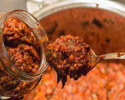 10 mejores recetas para hacer adjika caucásica para el invierno