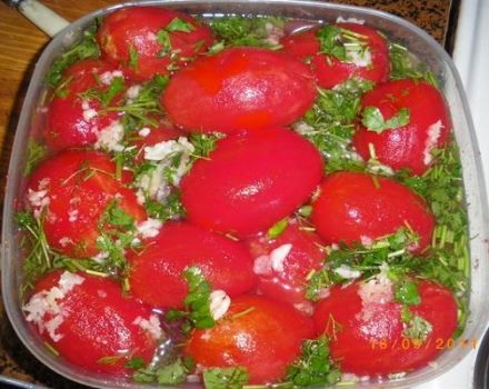 5 meilleures recettes de tomates instantanées marinées à l'ail