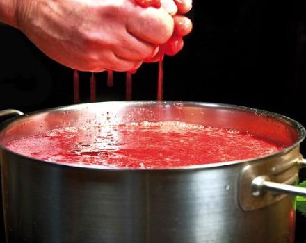 8 recetas de vino de fresa caseras fáciles y paso a paso