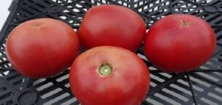 Description de la variété de tomate Alesi et de ses caractéristiques