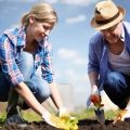 Calendrier lunaire de plantation de la plantation du jardinier pour juin 2020