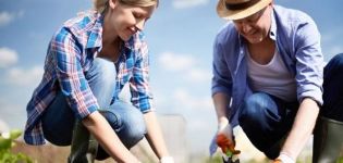 Calendario de siembra lunar para el jardinero para junio de 2020.