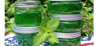 Une recette simple pour faire de la confiture de menthe au citron pour l'hiver