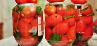 Resipi untuk membuat acar tomato dengan daun ceri untuk musim sejuk