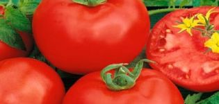 Description of the tomato variety Altai red and its characteristics