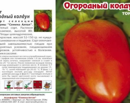 Descripción de la variedad de tomate Garden hechicero, sus características y productividad.