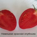 Description de la variété de tomate fraise rouge allemande, ses caractéristiques et son rendement