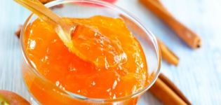 4 best recipes for apricot and apple jam for the winter