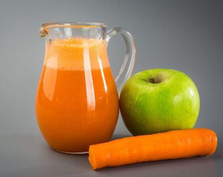 Recette de jus de pomme et de carotte pour l'hiver à la maison grâce à un presse-agrumes