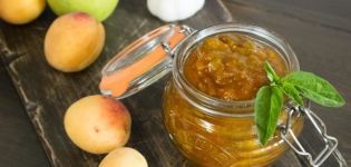 TOP 14 délicieuses recettes pour faire des sauces pour l'hiver à la maison