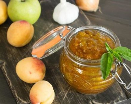 TOP 14 delicious recipes for making sauces for the winter at home