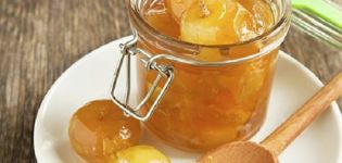 Une recette simple pour faire de la confiture de ranetki pour l'hiver