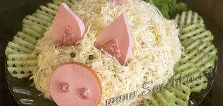 TOP 10 des recettes de salade de porc pour célébrer le nouveau 2019 de vos propres mains