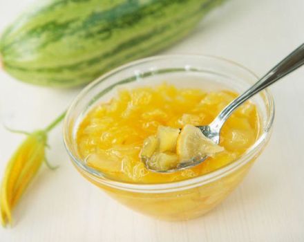 13 delicious recipes for making zucchini jam with lemon for the winter