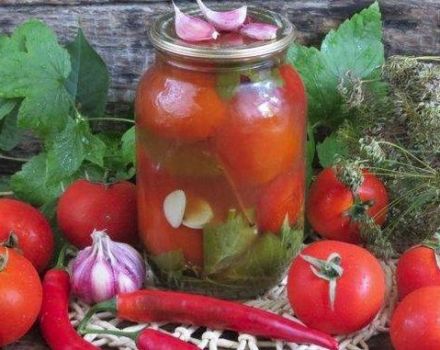 TOP 4 délicieuses recettes de tomates en conserve avec du ketchup au chili pour l'hiver