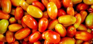 Descripción de la variedad de tomate Irene, características de cultivo y cuidado.