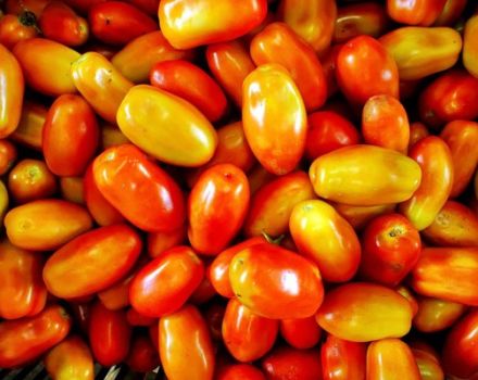 Description de la variété de tomate Irene, caractéristiques de culture et d'entretien