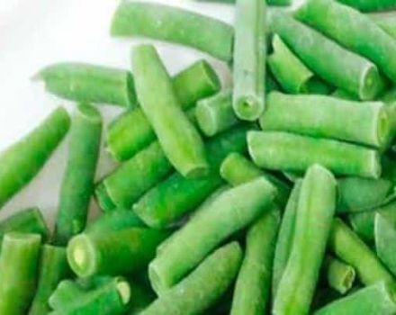 Cómo congelar adecuadamente las judías verdes para el invierno en casa, recetas.