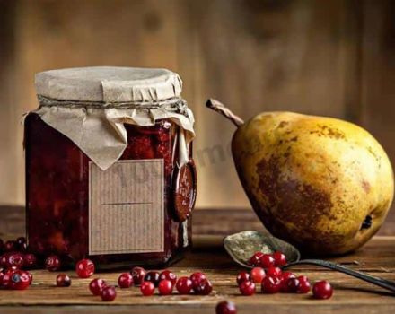 Recette pour faire de la confiture d'airelles aux poires pour l'hiver