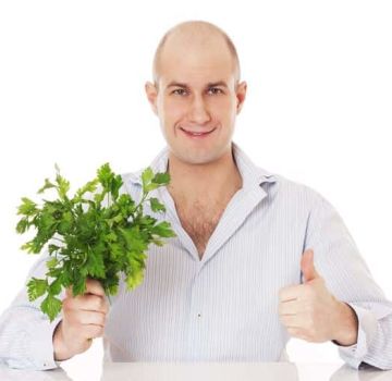 Useful properties and contraindications of parsley for men