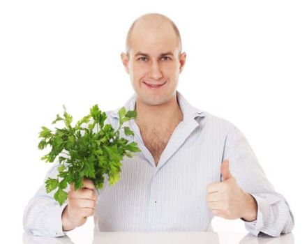 Useful properties and contraindications of parsley for men