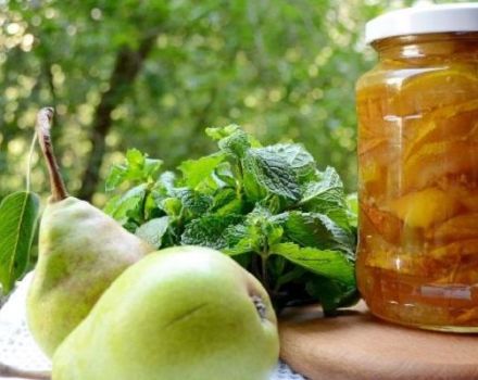 TOP 6 des recettes pour faire de la confiture de poires dures pour l'hiver