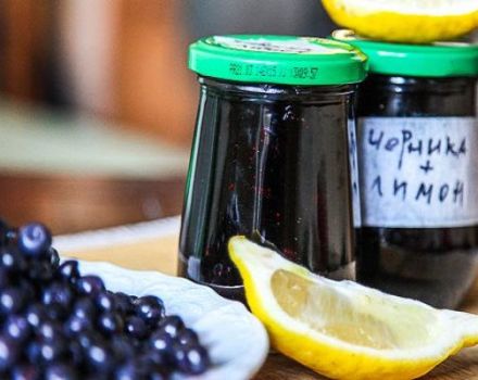 The best recipe for making blueberry jam with lemon for the winter