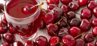 TOP 7 recipes for making cherry juice for the winter at home