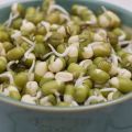 Description de la variété de pois Mash, propriétés utiles et nocives