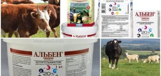 Instructions for use and composition of Albena for cattle, dosage and analogues