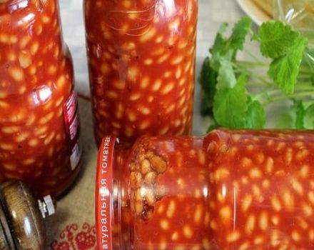 TOP 10 mejores recetas para enlatar frijoles para el invierno en frascos que te lamerás los dedos