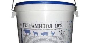 Instructions for the use of Tetramisole 10 for pigs, contraindications and analogues