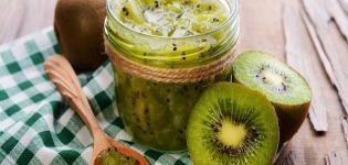 A simple recipe for making kiwi and banana jam for the winter