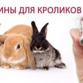 Instructions for use of the HBV vaccine for rabbits, types of vaccinations and doses