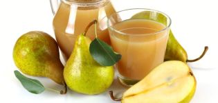 Recetas sencillas para hacer jugo de pera a través de un exprimidor, en un exprimidor y de la manera tradicional para el invierno