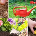 Lunar sowing calendar of plantings of the gardener for july 2020