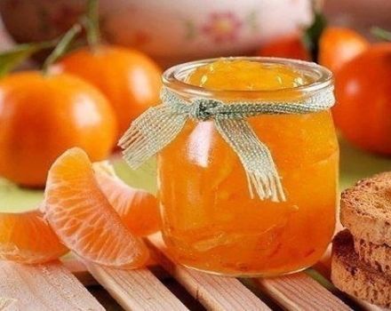 Simple recipes for making tangerine jam for the winter