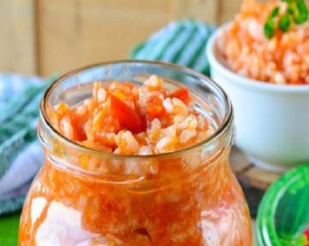 TOP 11 recetas de arroz con verduras para el invierno en casa