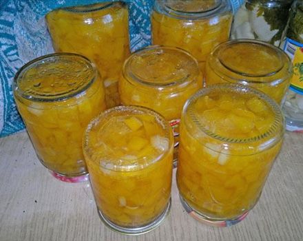 TOP 13 recipes for making lemon jam with peel