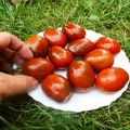 Descripción de la variedad de tomate Ciruelas, recomendaciones para su cultivo y cuidado.